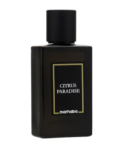 parfum inspirat de Elysium Pour Homme